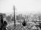 View overlooking city with burned tree in the foreground.
