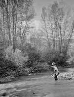 Beard at Chalk Creek